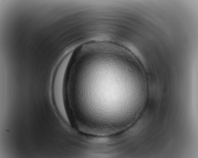 X0000088920845200706151923