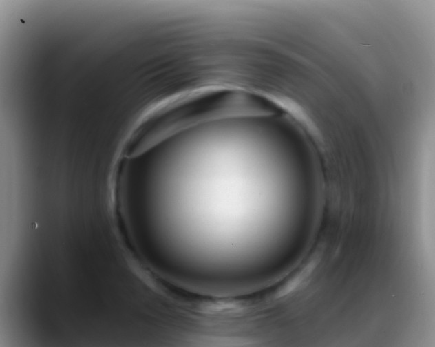 X0000088920846200706151923