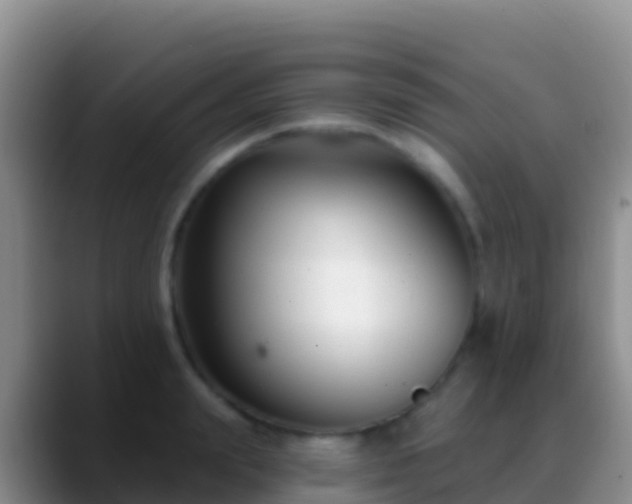 X0000088920847200706151923