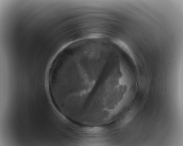 X0000088920851200706151923