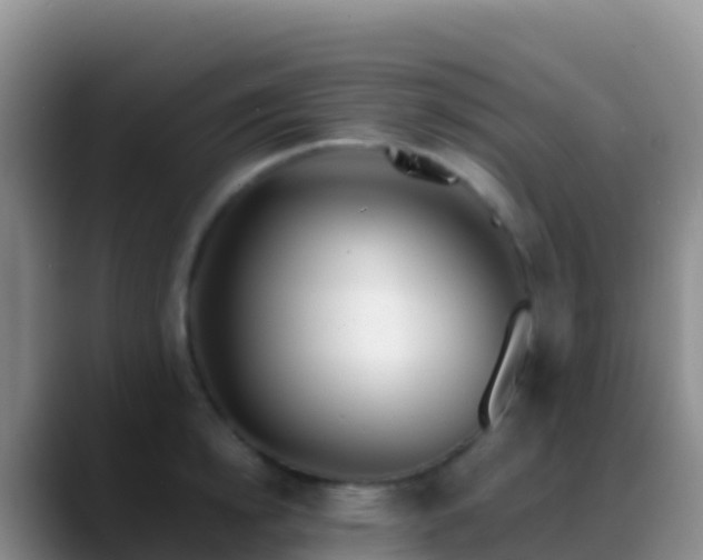 X0000088920854200706151923