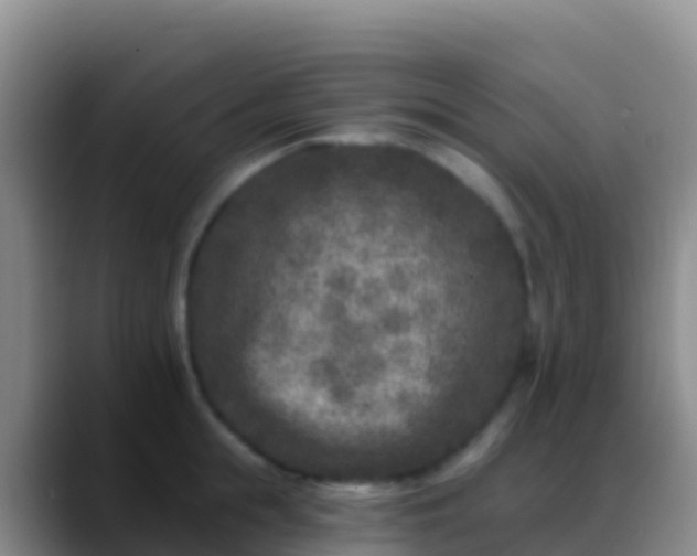 X0000088920855200706151923