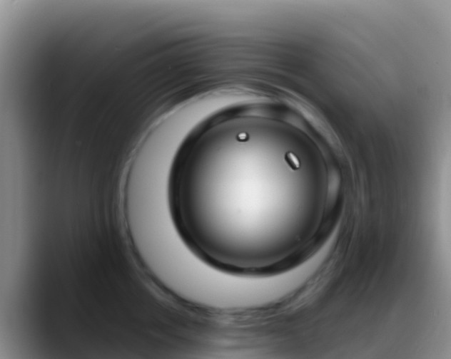 X0000088920858200706151923
