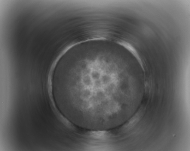 X0000088920859200706151923