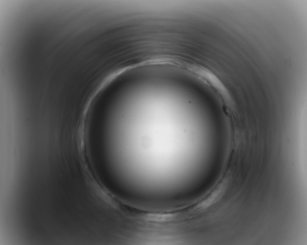 X0000088920860200706151923
