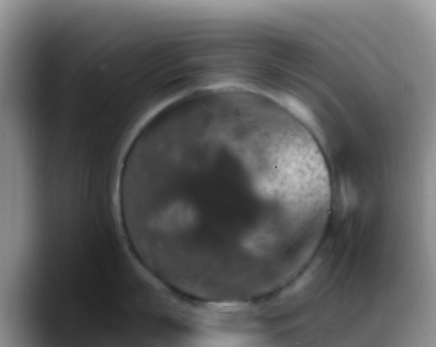 X0000088920863200706151923
