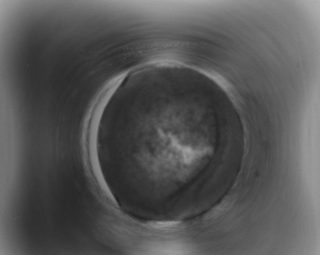 X0000088920864200706151923