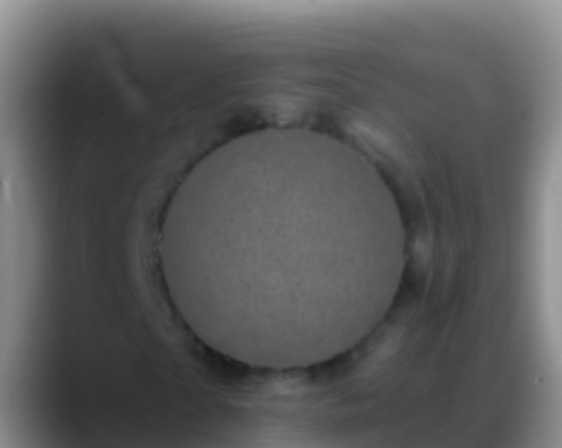 X0000088920865200706151923