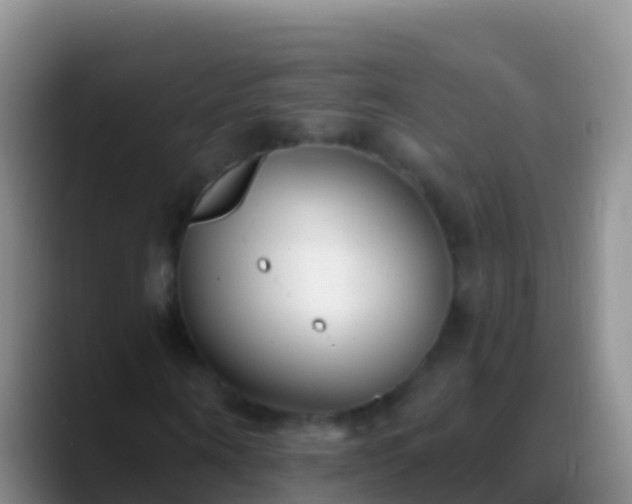 X0000088920866200706151922