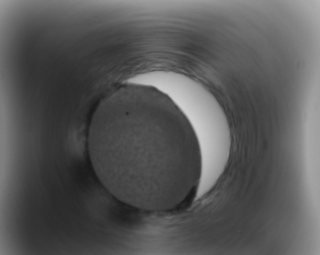 X0000088920868200706151922