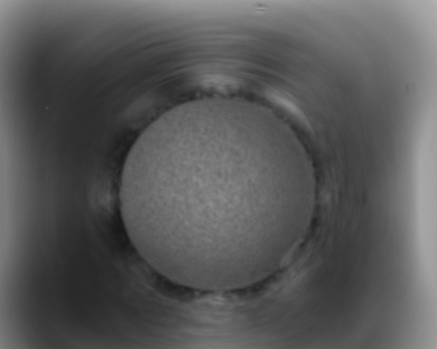 X0000088920869200706151922