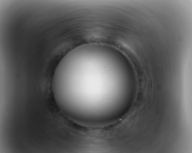 X0000088920870200706151922