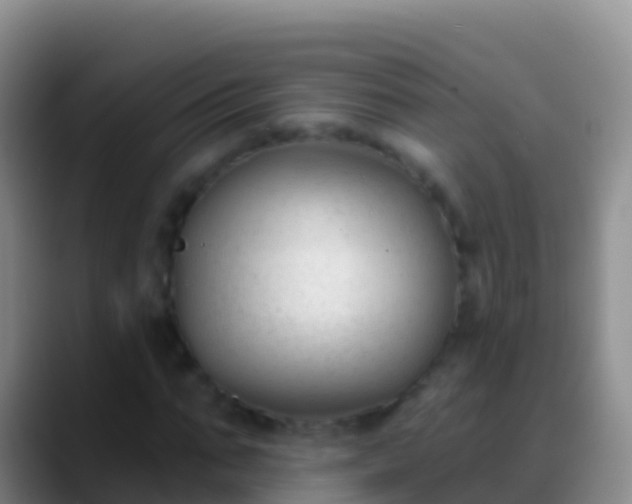 X0000088920871200706151922