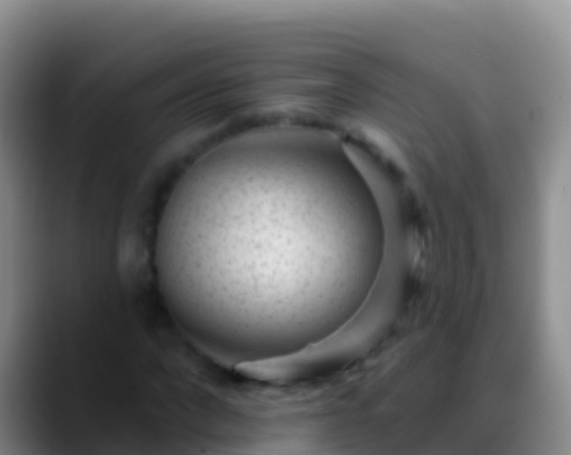X0000088920872200706151922