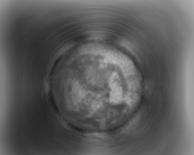 X0000088920874200706151922