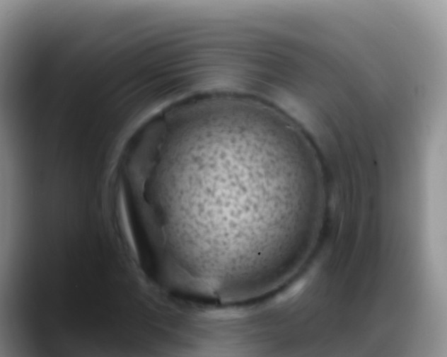 X0000088920877200706151922