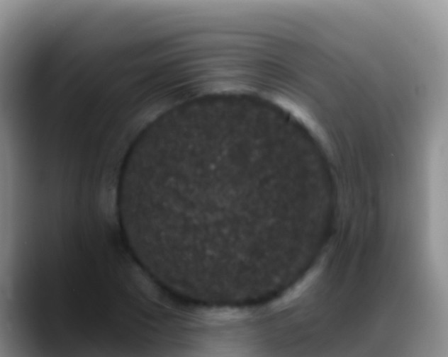 X0000088920881200706151922
