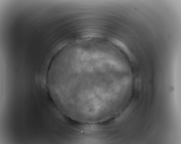 X0000088920882200706151922