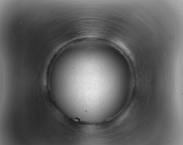 X0000088920883200706151922