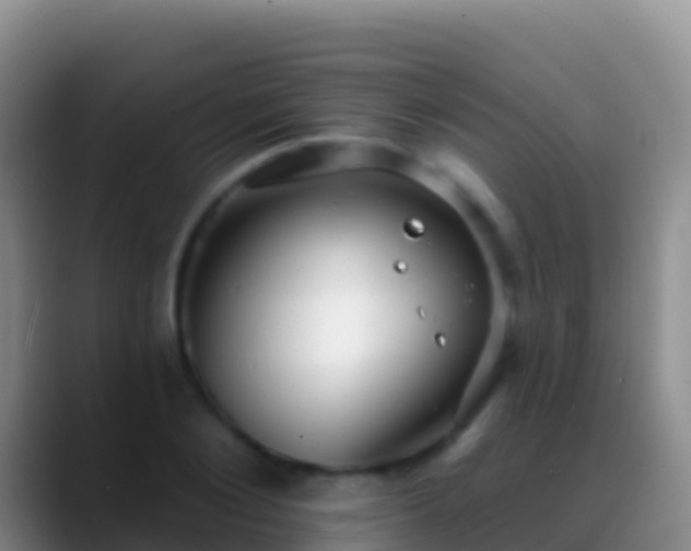 X0000088920884200706151922