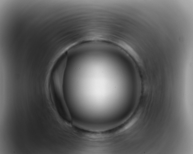 X0000088920885200706151922