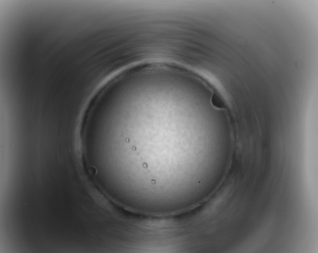 X0000088920887200706151922