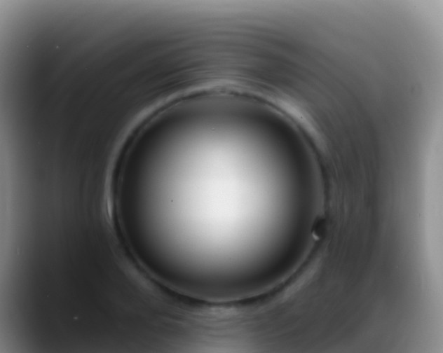 X0000088920888200706151922