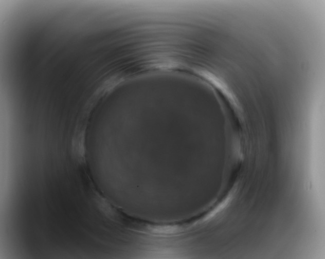 X0000088920889200706151922