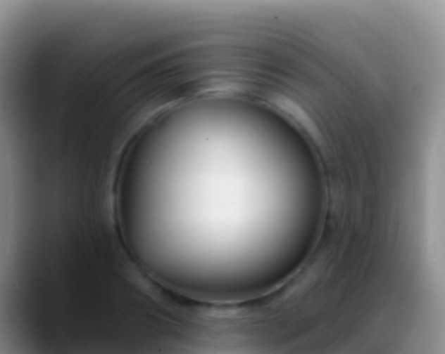 X0000088920890200706151922
