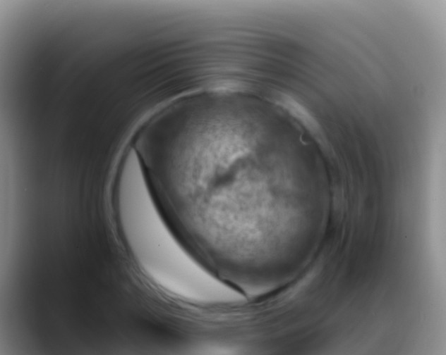 X0000088920891200706151922