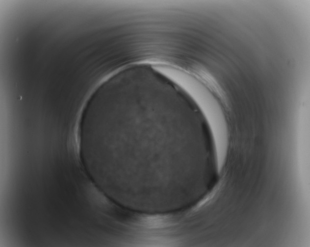 X0000088920892200706151922