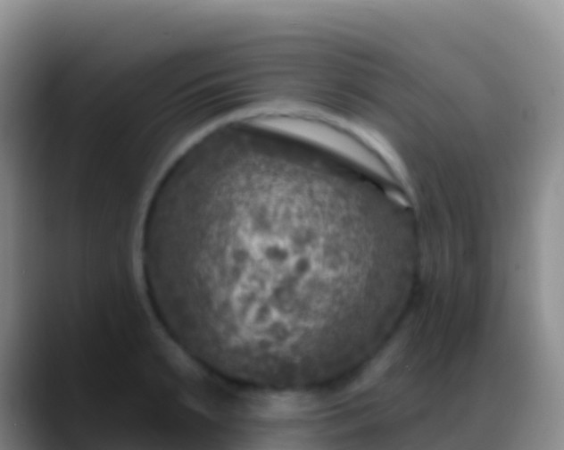 X0000088920895200706151922