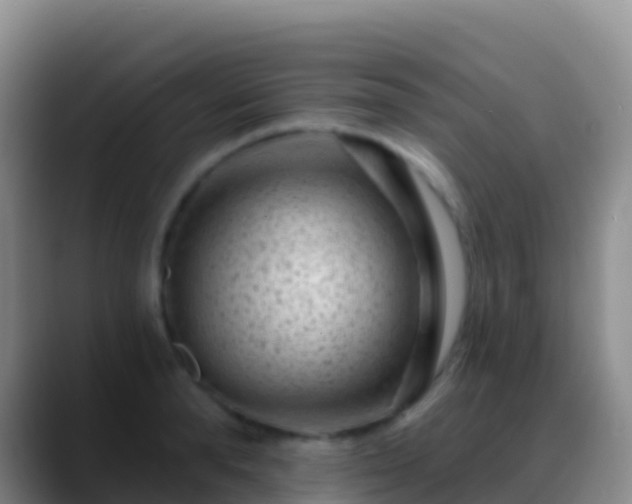 X0000088920896200706151922