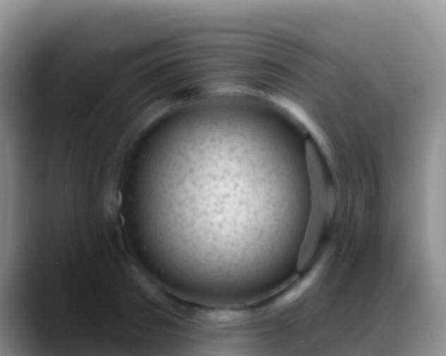 X0000088920897200706151922