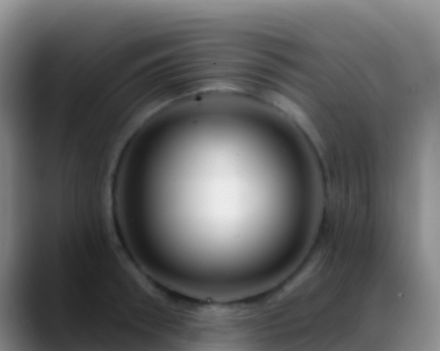 X0000088920898200706151922