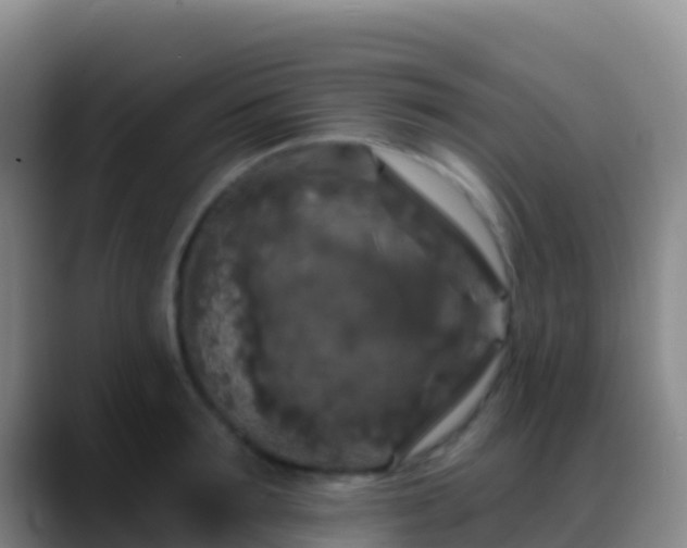 X0000088920899200706151922