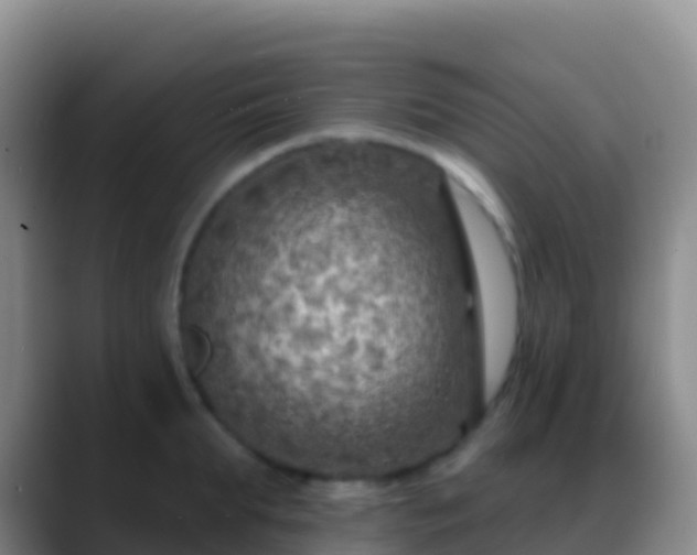 X0000088920903200706151922