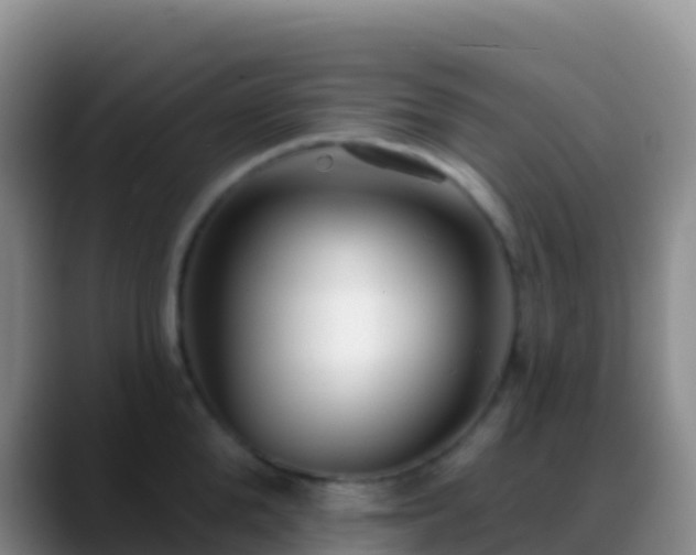 X0000088920904200706151922