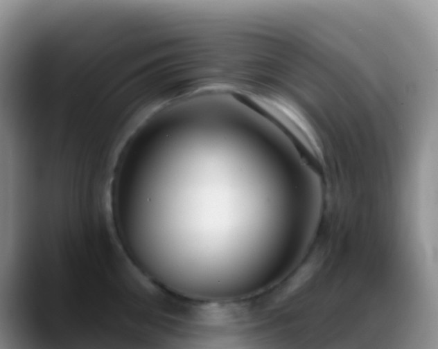 X0000088920906200706151922