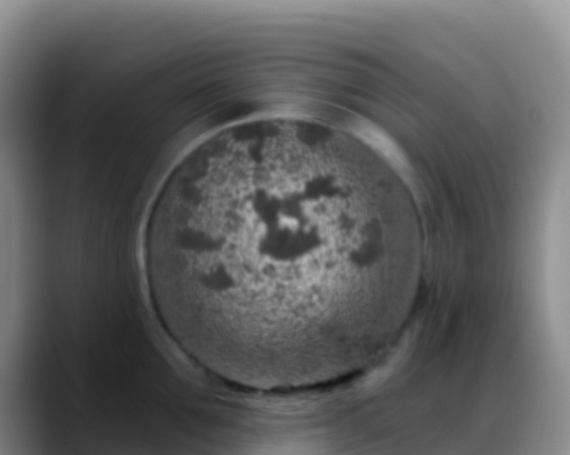 X0000088920907200706151922