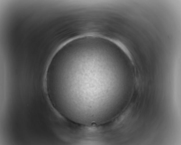 X0000088920911200706151922