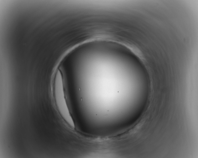 X0000088920912200706151922
