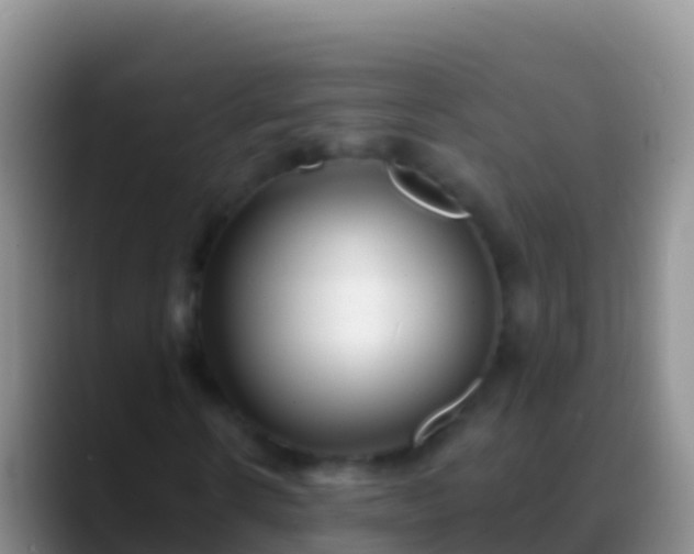 X0000088920914200706151921