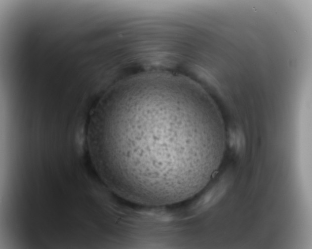X0000088920915200706151921