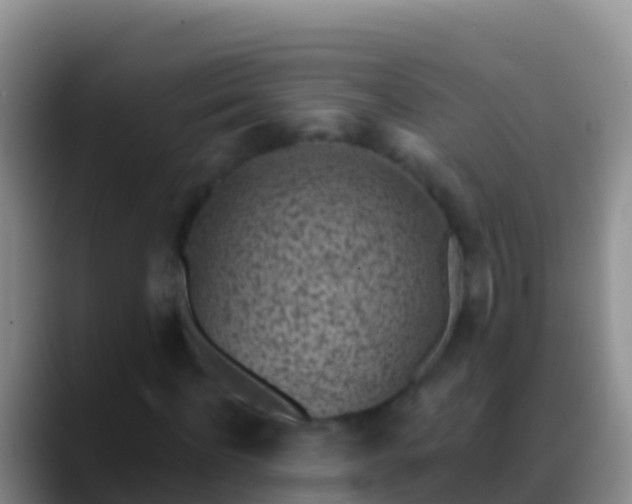 X0000088920916200706151921