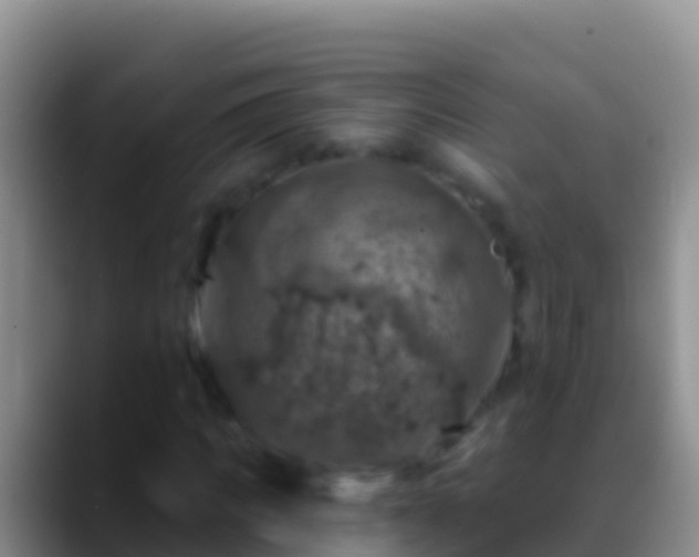 X0000088920917200706151921