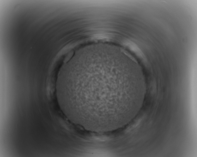 X0000088920920200706151921