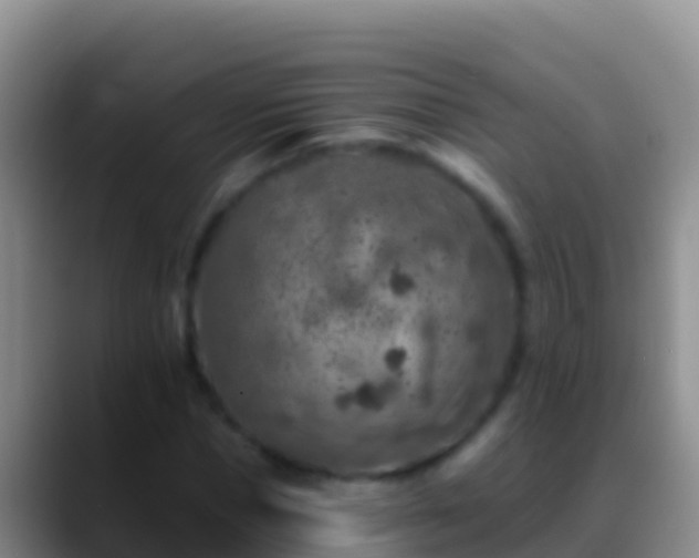 X0000088920921200706151921