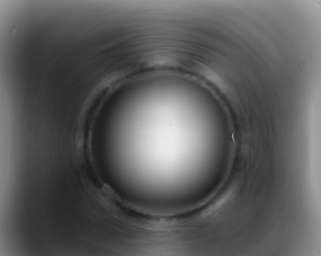 X0000088920922200706151922