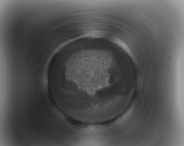 X0000088920923200706151922